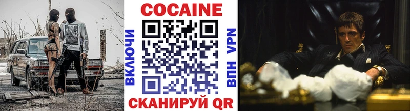 продажа наркотиков  Александровское  Cocaine Fish Scale 