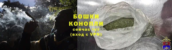 PSILOCYBIN Балабаново
