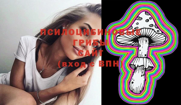 PSILOCYBIN Баксан