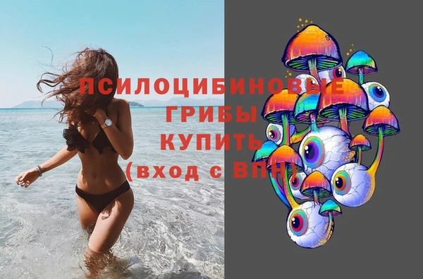 PSILOCYBIN Баксан