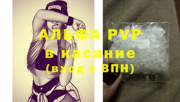 PSILOCYBIN Балабаново