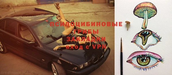 PSILOCYBIN Баксан