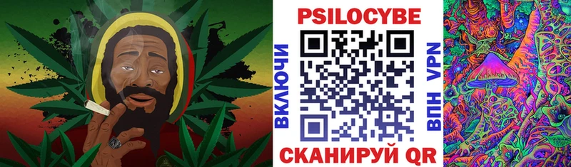 сколько стоит Александровское Псилоцибиновые грибы Psilocybine cubensis